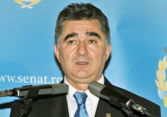 Ioan Ghişe, senator PNL: